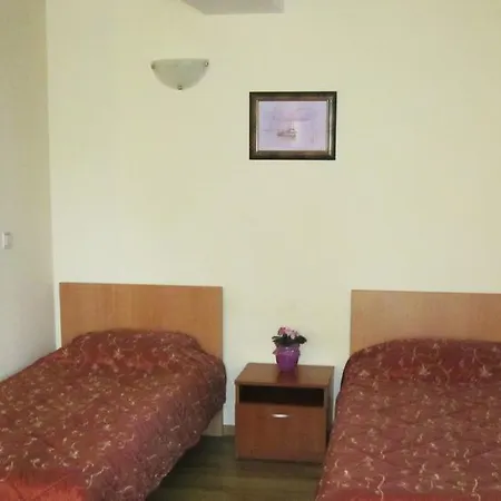 Saint Nikola Holiday