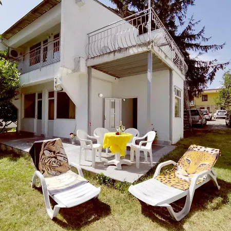 Saint Nikola Holiday